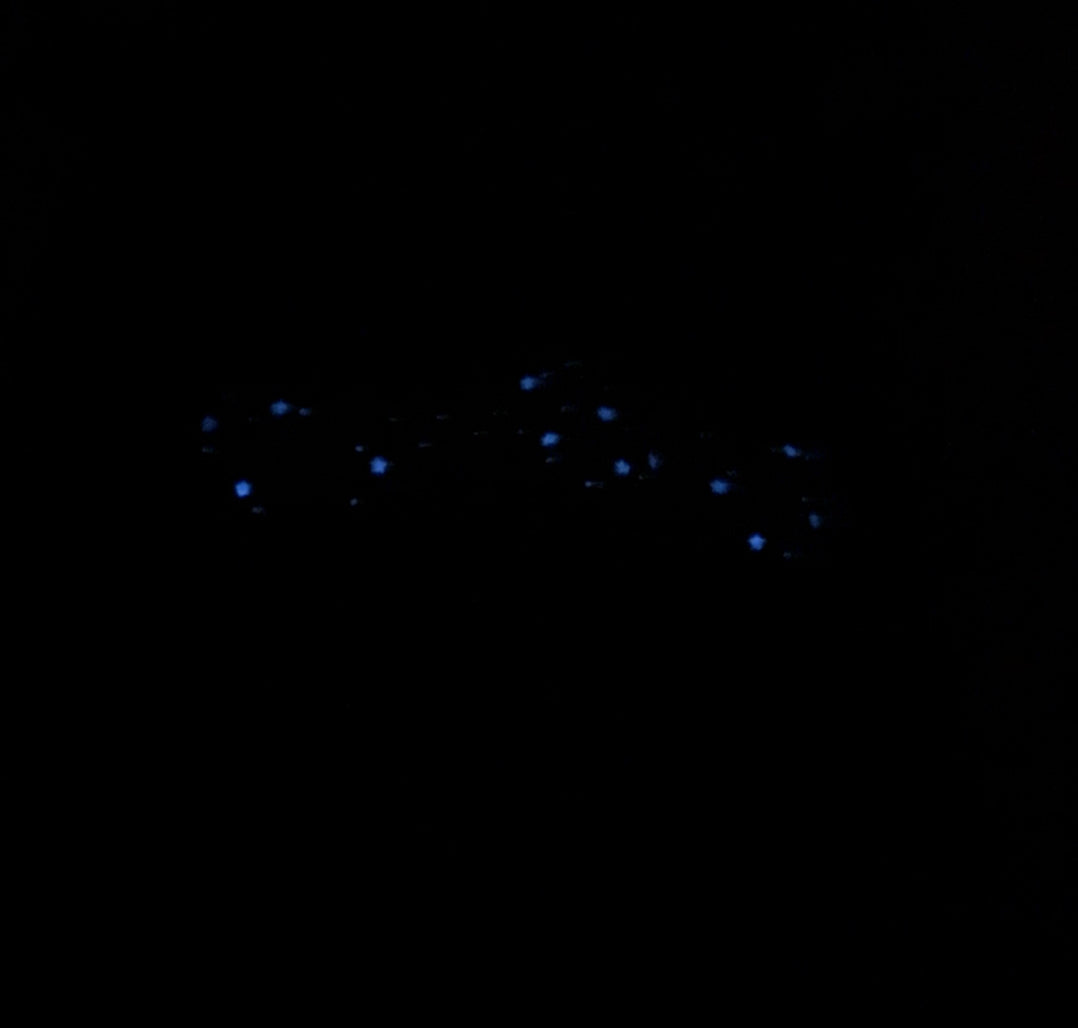 Madame Leota Pixie Dust Freckles (GLOW IN THE DARK)